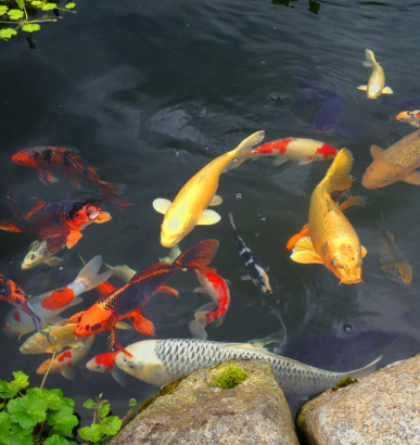 Untitled design 21 1